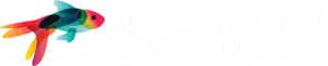 Roojai Website Solutions | Web Development for Hong Kong